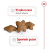 Royal Canin Mini Adult karma sucha dla psów dorosłych, ras małych 2kg