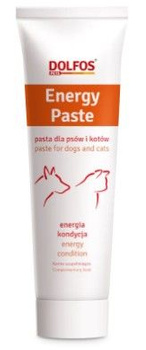 DOLFOS Energy Paste 100g