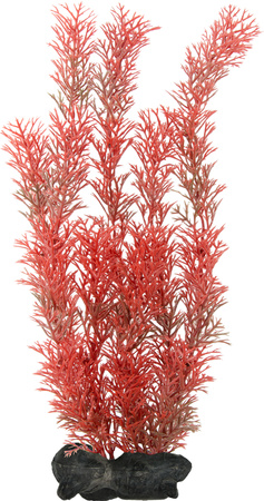 TETRA DecoArt Plant L Foxtail Red, sztuczna roślina akwariowa 30 cm