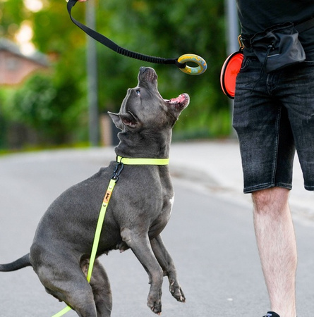 Dingo Zabawka dla psa - Szarpak Ringo z rączką bungee 10cm