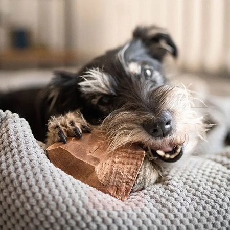 4DOGS GRYZAK DLA PSA Z KORZENIA WRZOŚCA XL