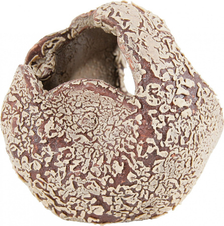 Zolux Ozdoba do akwarium kula ARKEO L 10x10,5x9,5 cm