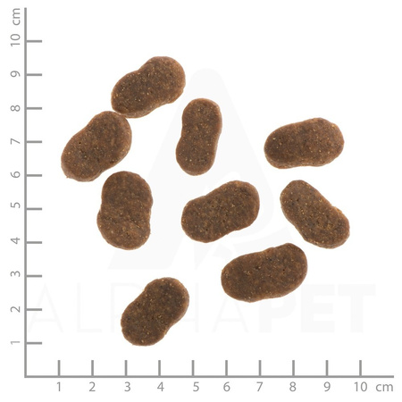 WILDES LAND DOG Lamm Lachs - jagnięcina i łosoś z ziemniakami i ziołami (1kg)