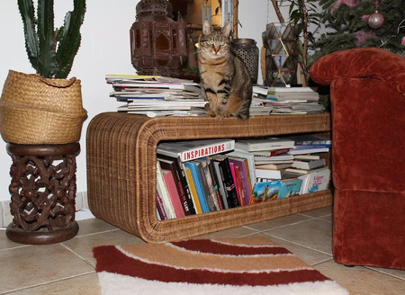 Zolux Dry bed posłanie izolujące dla psa i kota wzór tęczy 50x60 cm