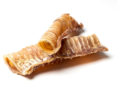 Bult Tchawica wołowa 2szt