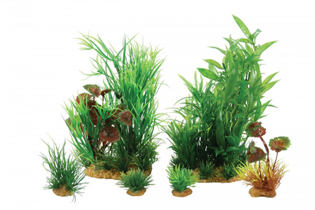 Zolux Ozdoba do akwarium rośliny PLANTKIT JALAYA model 2