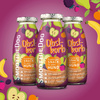SmoothieDog Obstkorb – owocowe smoothie dla psa (250ml)