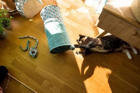 ZOLUX Zabawka dla kota królik zawieszany na drzwiach,liście ETHICAT 59,5 cm