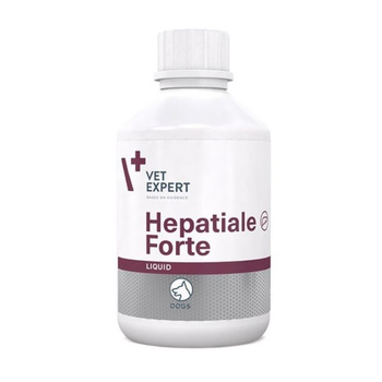 HEPATIALE FORTE LIQUID BUTELKA 250 ML