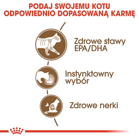 Royal Canin Ageing +12 karma mokra w galaretce dla kotów dojrzałych saszetka 85g