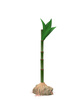 Tetra DecoArt Plantastics Premium Asian Bamboo 15 cm