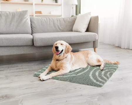 Zolux Dry bed posłanie izolujące dla psa wzór łuków 50x70 cm