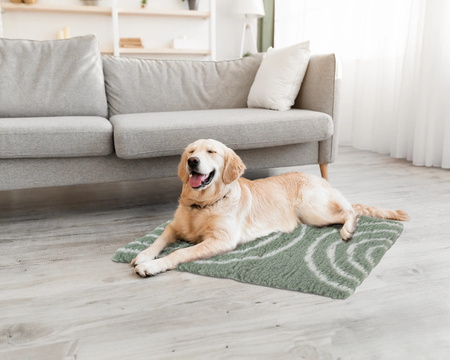 Zolux Dry bed posłanie izolujące dla psa wzór łuków 75x95 cm