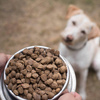TENETRIO Gemüse Garten owady warzywa 15 kg