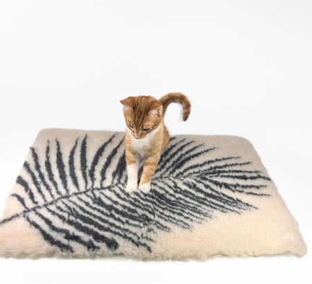 Zolux Dry bed posłanie izolujące dla psa wzór roślinny 50x70 cm kol. beż