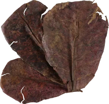 ZOLUX Liście migdałecznika właściwego x14 ograniczają rozwój grzybów