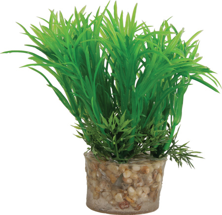 Zolux Ozdoba do akwarium roślina mała z zestawu nr 1