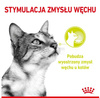 Royal Canin Sensory Smell w sosie karma mokra dla kotów dorosłych saszetka 85g
