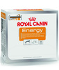 Royal Canin Nutritional Supplement Energy zdrowy przysmak dla psów dorosłych, aktywnych 50g