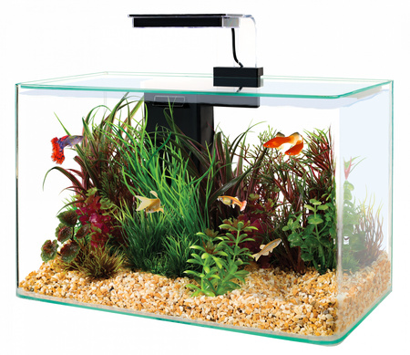 ZOLUX Zestaw akwarium i oświetlenie LED AQUA CLEAR 400x200x250 mm czarny