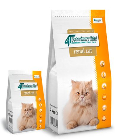 4T VETERINARY DIET Cat RENAL 400g