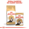 Royal Canin Persian Adult karma sucha dla kotów dorosłych rasy perskiej 2kg
