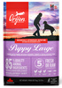 Orijen Puppy Large Breed 6kg