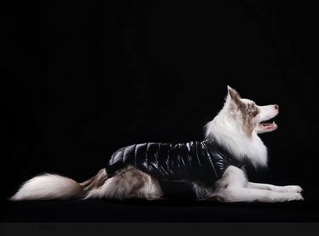 CHABA KUBRAK DOPAMINE `4XL` CZARNY 55cm