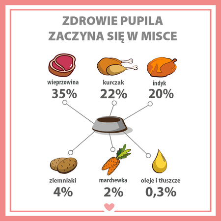 Karma mokra dla psa PUPIL Premium All Meat ADULT wieprzowina 400 g