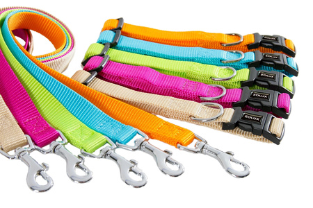 Zolux Obroża nylonowa dla psa regulowana 40 mm kol. seledynowy