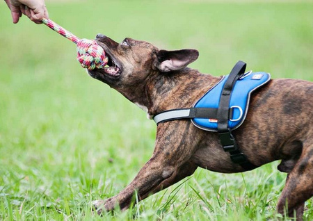 Dingo Piłka plecionka ze sznura 250g/27cm