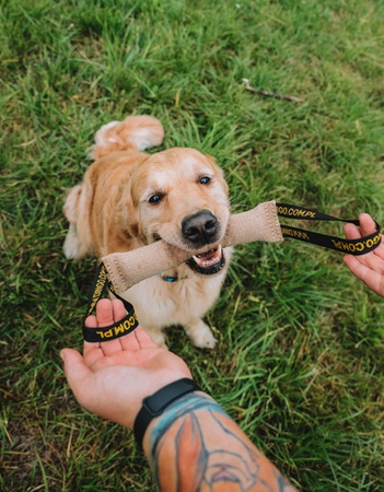 Dingo Zabawka dla psa - Szarpak z juty z dwoma uchwytami 60/8cm