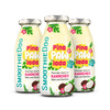 Smoothie Dog Pina Paw Lada - królik z warzywami i owocami (250ml)