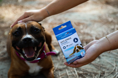 FRANCODEX Mineralna karma uzupełniająca tabletki antystresowe dla psa 30x