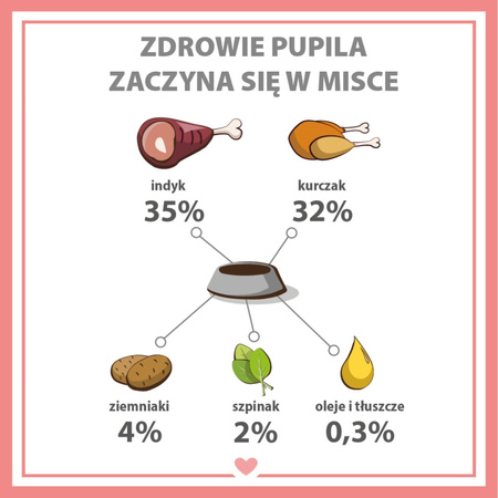 Karma mokra dla psa PUPIL Premium All Meat ADULT indyk 400 g