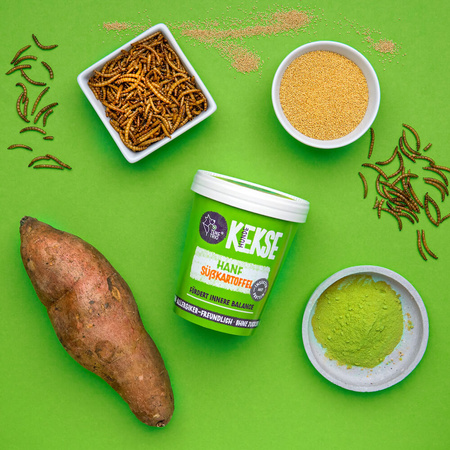 Tenetrio Hundekekse Hanf - ciasteczka z owadami, konopiami i batatami (200g)