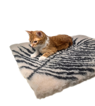 Zolux Dry bed posłanie izolujące dla psa wzór roślinny 75x95 cm kol. beż